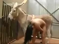 Latina performing irrumation on a donkey